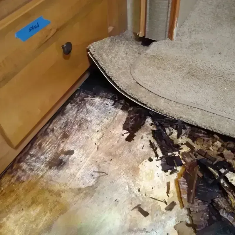 Best Wood Floor Water Damage Service in Mountain Lakes, NJ